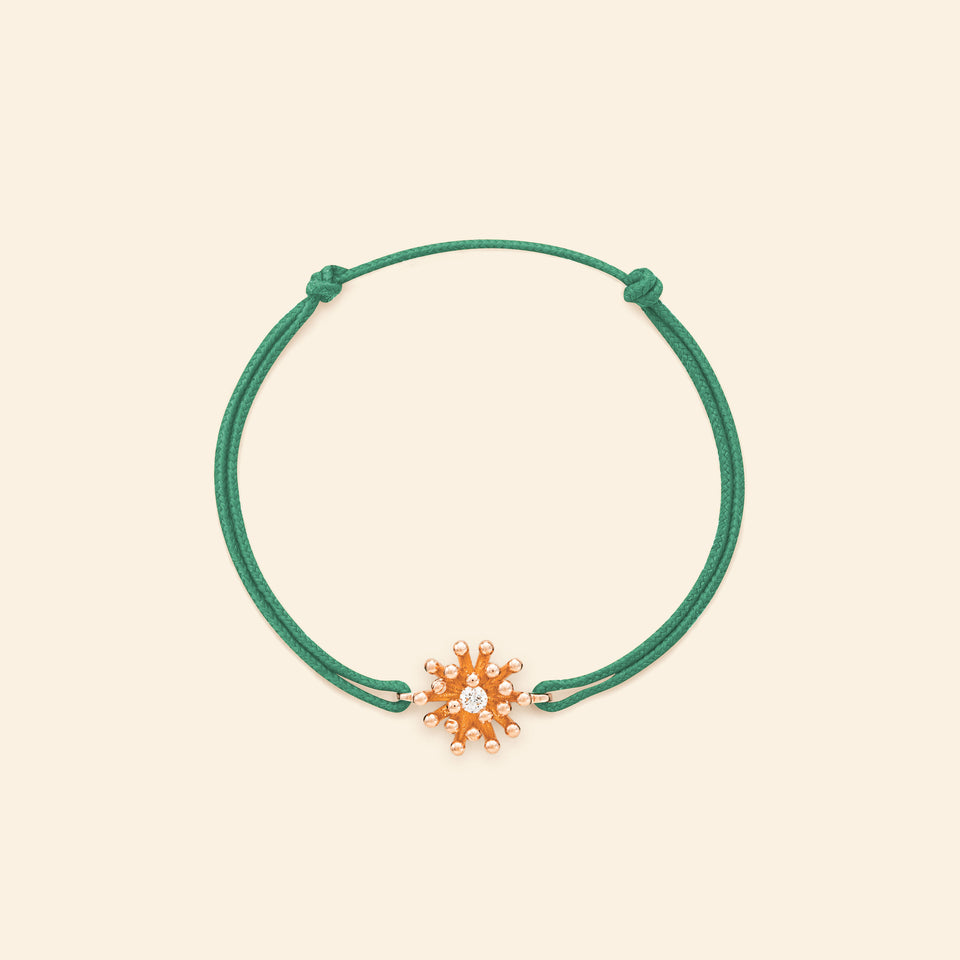 Le petit cactus diamond bracelet cord