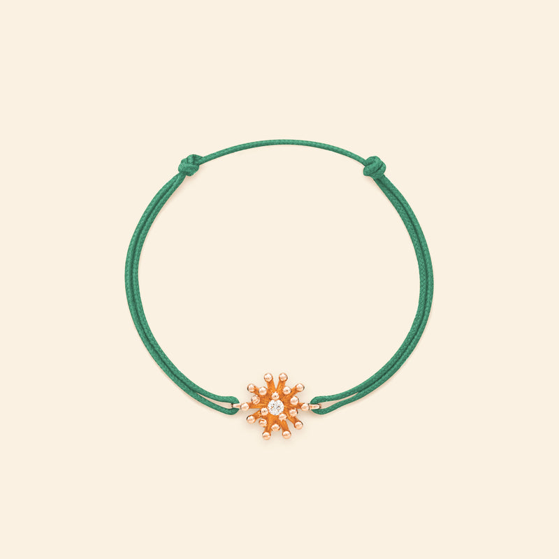 Le petit cactus diamond bracelet green cord